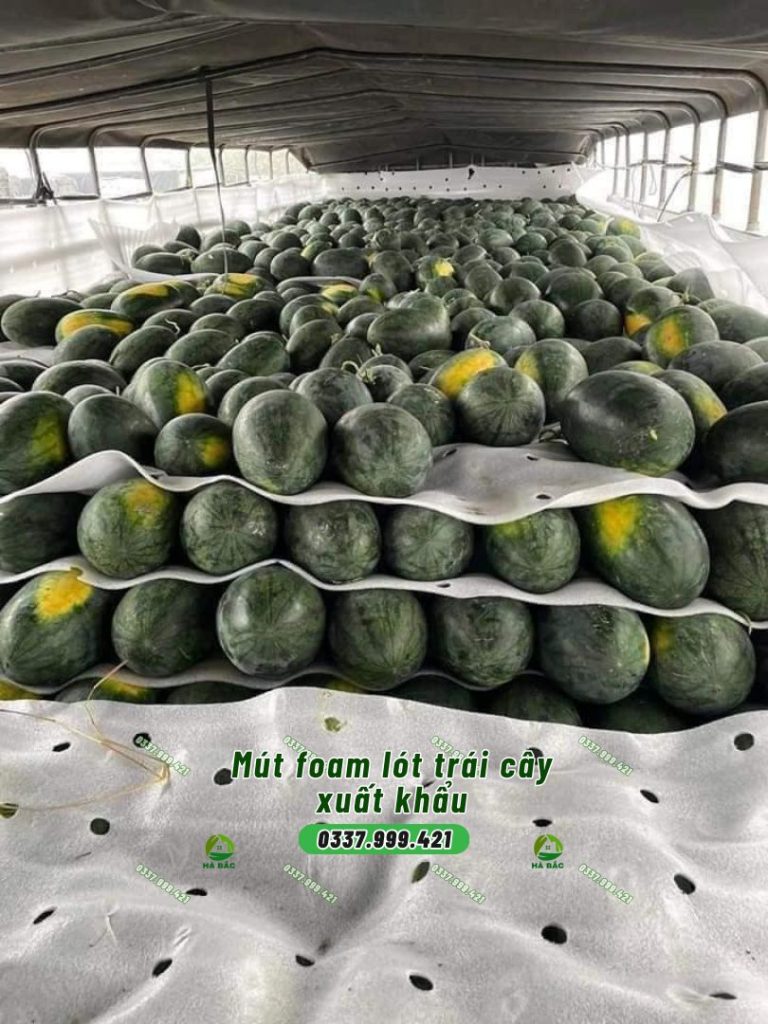 Mút xốp PE foam 3mm