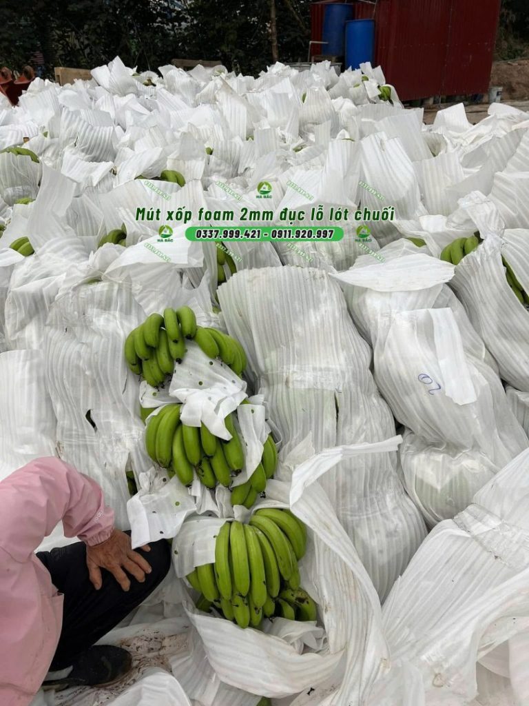 mút xốp Foam 2mm đục lỗ