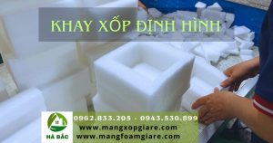 Khay xốp định hình PE Foam giá rẻ tại Bắc Ninh